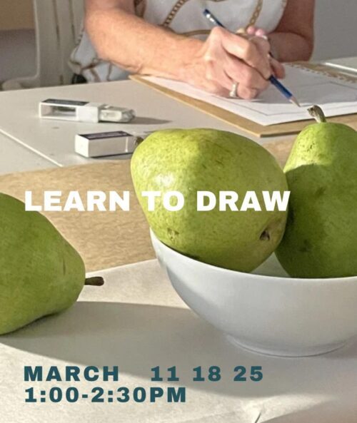 Drawing for Beginners: Learn to Draw What You See